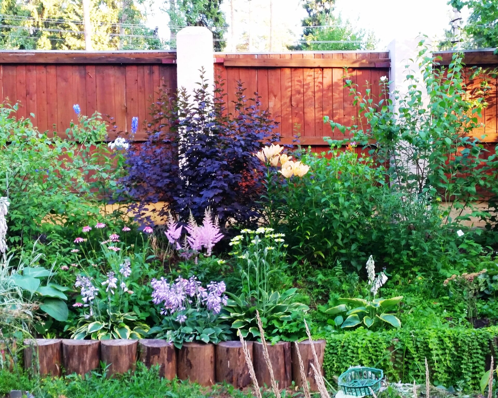 Проект Слава 1